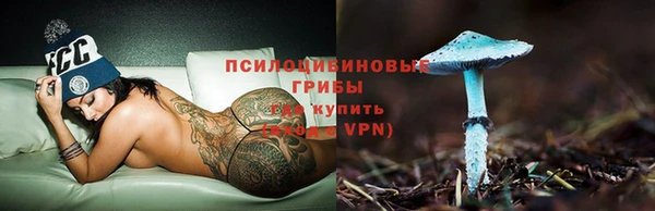 шишки Балабаново