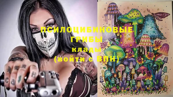 шишки Балабаново