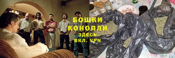 шишки Балабаново