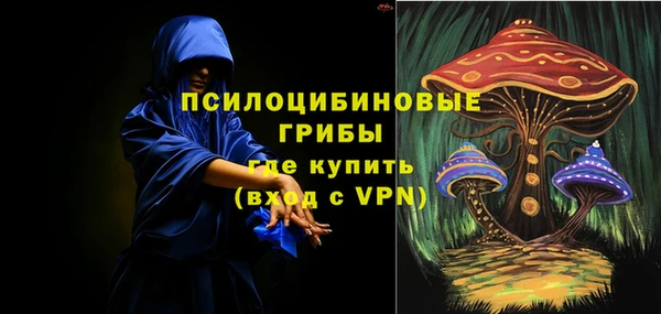 mdpv Кинешма